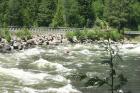 thumbs/Lochsa River ID.jpg